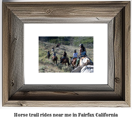 horse trail rides near me in Fairfax, California